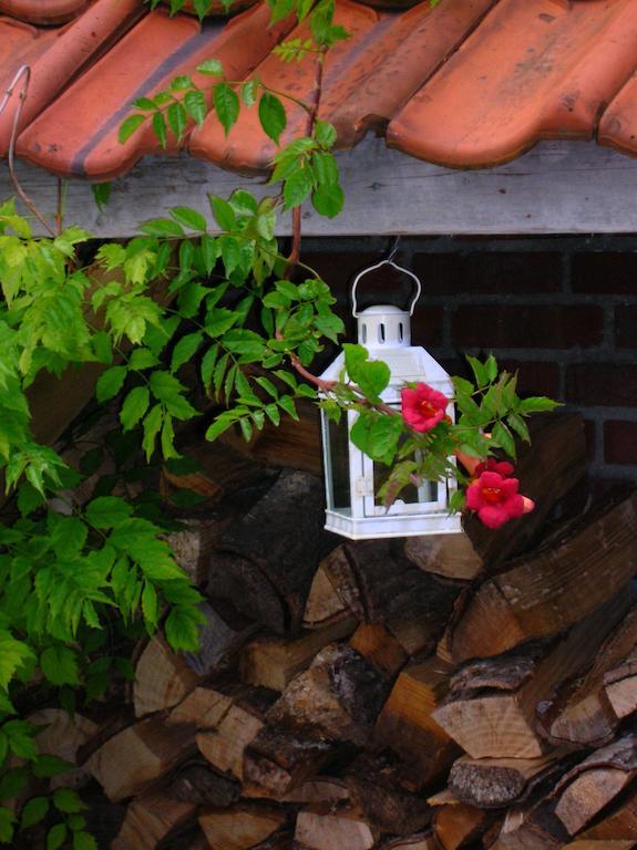 Appartement Stokroos Lottum 部屋 写真